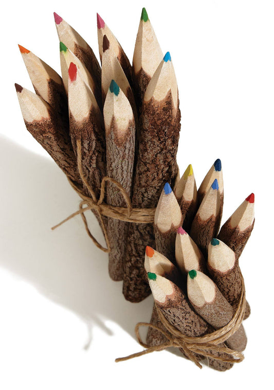 Pack of 10 Coloured Pencils